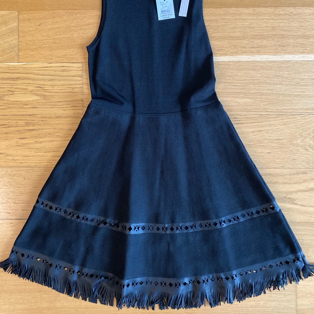 Parker Black / Serene Leather Fringe dress